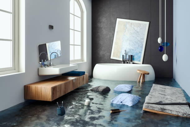 Best Water damage cleanup near me  in Vaeboro, NC