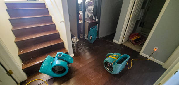 Water damage restoration experts in Vanceboro, NC