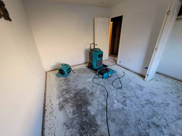 Best Mold removal after water damage  in Vaeboro, NC