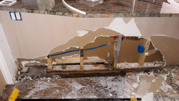 Best Water damage restoration near me  in Vaeboro, NC