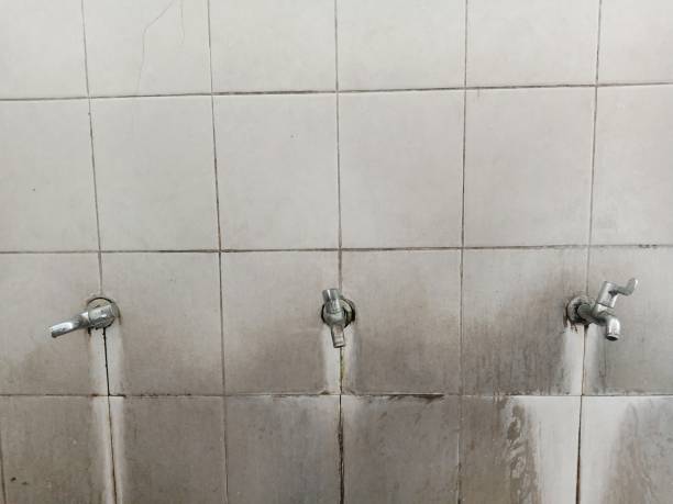 Best Mold removal after water damage  in Vaeboro, NC