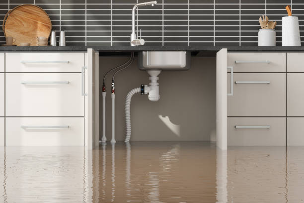 Best 24-hour water damage restoration  in Vaeboro, NC