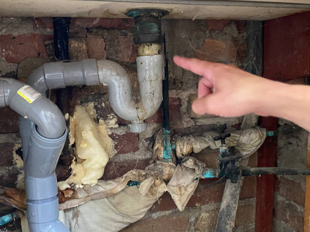 Best Local water damage restoration  in Vaeboro, NC