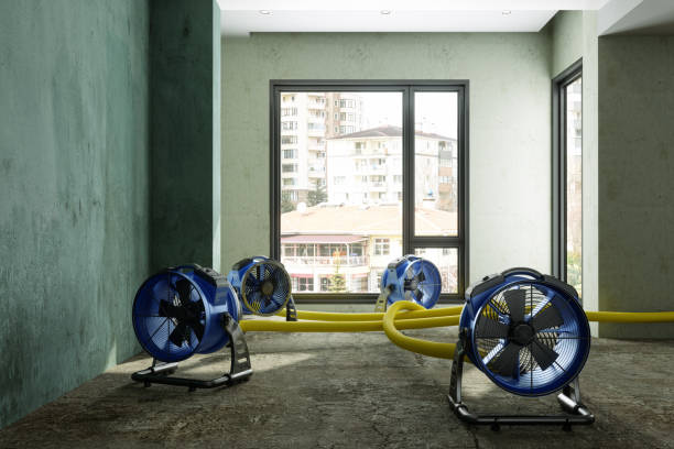 Best Commercial water damage restoration  in Vaeboro, NC