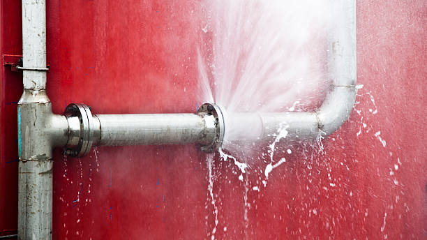 Best Basement water damage restoration  in Vaeboro, NC